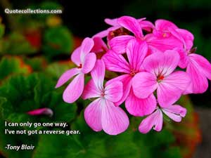 tony_blair_quotes Quotes 4